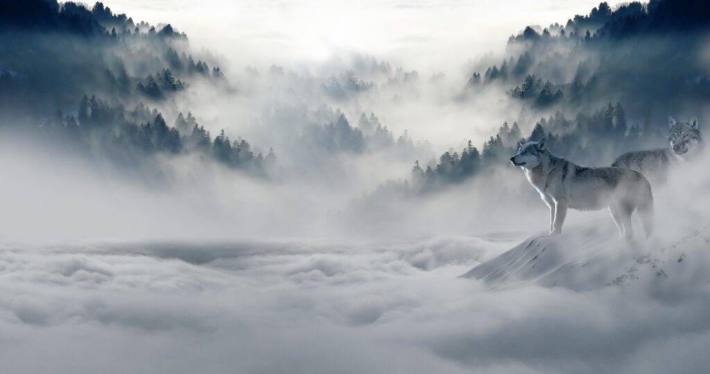 Rêver de brouillard : symbolise-t-il l'incertitude ou la confusion ?